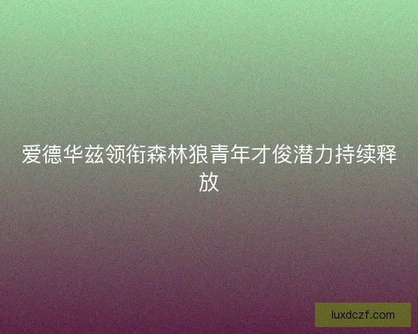 爱德华兹领衔森林狼青年才俊潜力持续释放
